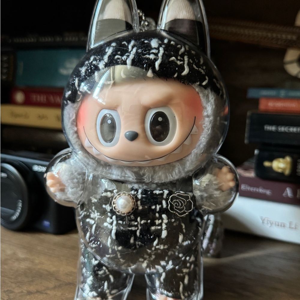 Labubu with case and customized costume